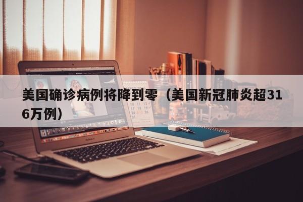 美国确诊病例将降到零（美国新冠肺炎超316万例）
