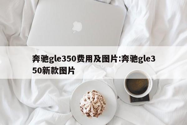 奔驰gle350费用及图片:奔驰gle350新款图片