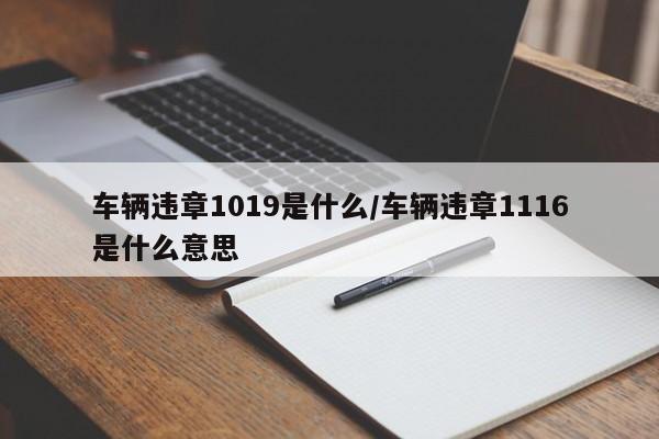 车辆违章1019是什么/车辆违章1116是什么意思