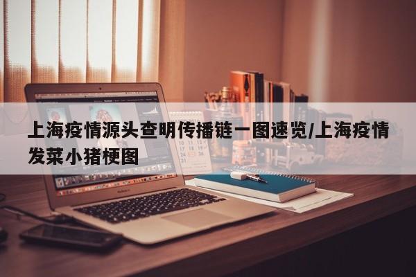上海疫情源头查明传播链一图速览/上海疫情发菜小猪梗图